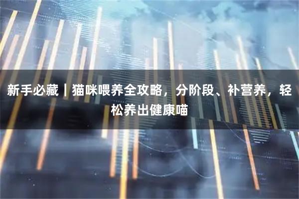 新手必藏｜猫咪喂养全攻略，分阶段、补营养，轻松养出健康喵