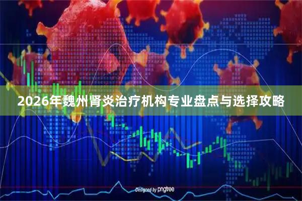 2026年魏州肾炎治疗机构专业盘点与选择攻略