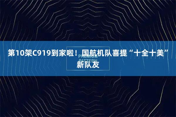 第10架C919到家啦！国航机队喜提“十全十美”新队友